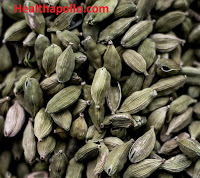 Cardamom for UTI