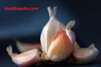 Garlic for UTI