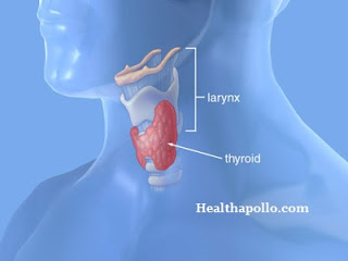 Most effective Home Remedies of Thyroid | Types | Reasons and Symptoms Healthapollo