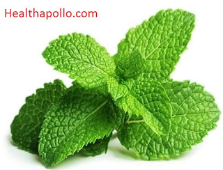 Menthol leaves for Cough