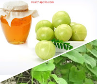7 Easy ways to get rid of all kind of Allergy Honey, Gooseberry and Giloy for Allergy