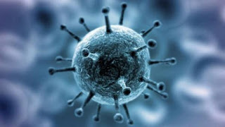 What is CORONA VIRUS, Know its Symptoms and Treatment of this Deadly Virus CORONA VIRUS